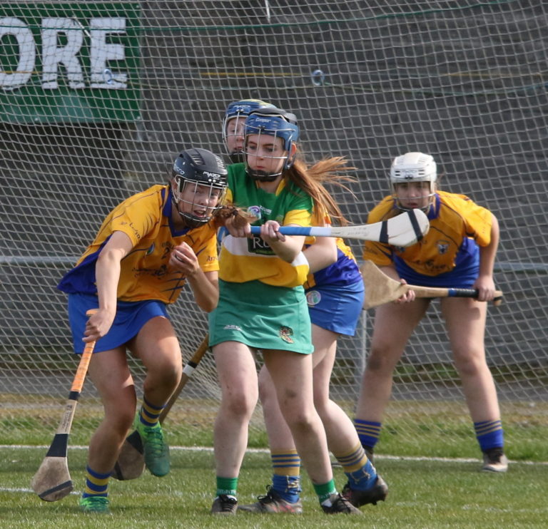 Clare Camogie Digs Deep For Priceless Win