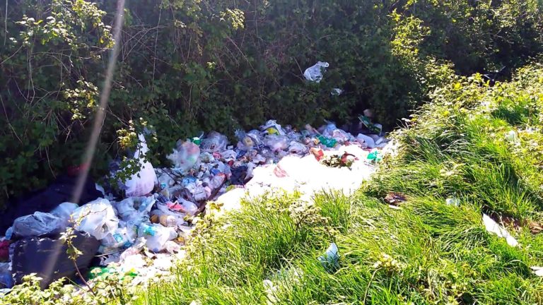 Investigations Begin Into Ennis Dump Site