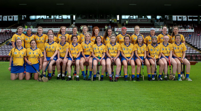 Clare Fall To Kilkenny in Camogie League Opener