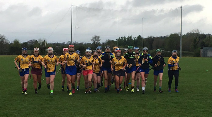 Moloney Hopes Minor Camogie Squad Will Inspire Young Players