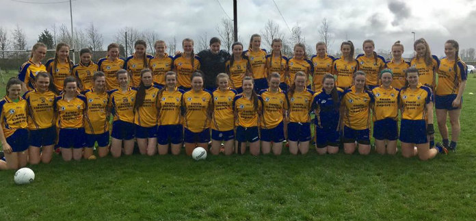 Harvey Eager To Take Opportunity Of Glory In All Ireland LGFA Minor B Final