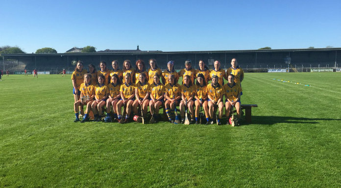 Positives But Much To Improve For Clare Camogie – O’Connell