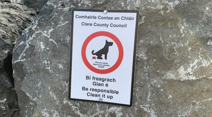 Calls For ‘Blitz’ To Eliminate Dog Fouling Across Clare