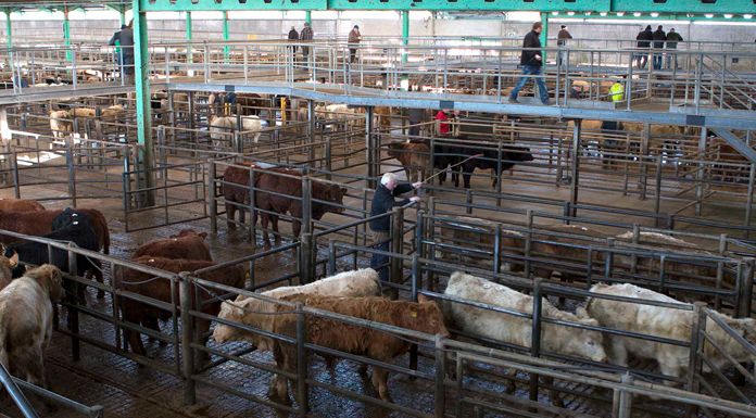 Calls For Level 5 Restrictions To Be Eased At Marts After Weekend “Chaos”