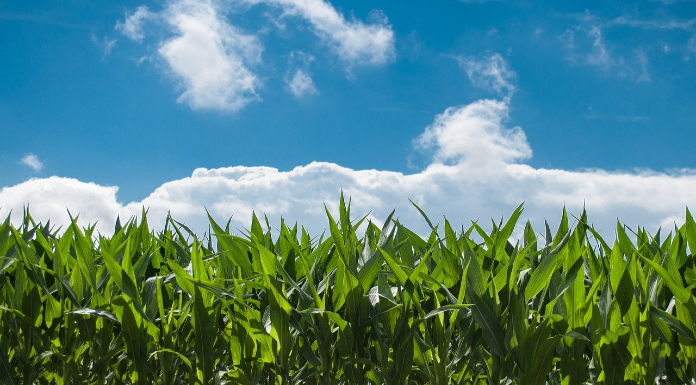 Clare Farmers Raise Concerns Over Climate Action Bill