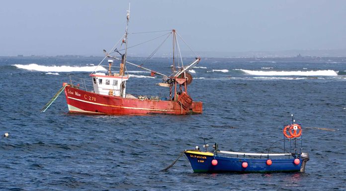 Concern Over Threat To Dolphins From Trawlers In Shannon Estuary