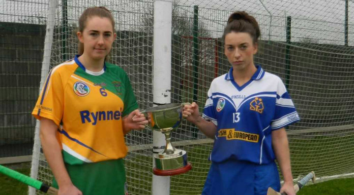 Disappointment For Inagh Kilnamona In Munster Club Camogie Final