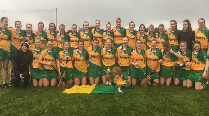 Clare Camogie Wins National Media Award