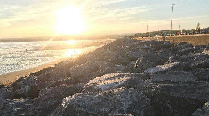 Lucky Escape For Clare Sheep After Surfer Comes To Rescue