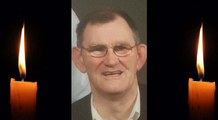 Noel Walsh – Meelick & Dublin