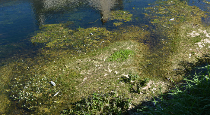 EPA Says Hundreds Of Irish Lakes And Rivers Polluted In Recent Years