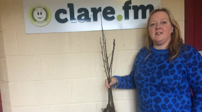 Clare Green Senator Labels Department ‘A Disgrace’ Over Lack Of Whole-School Ventilation