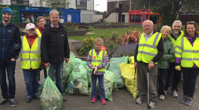 Clare Communities Urged To Get Involved In National Spring Clean Campaign