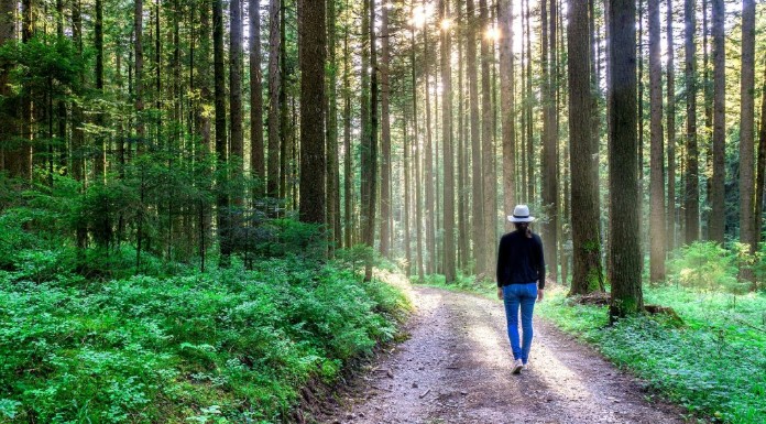 Forest Bathing for Positive Mental and Physical Health