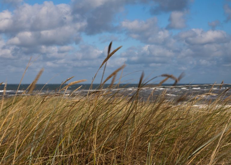 Beach Littering Incidents Soared During Hot Spell