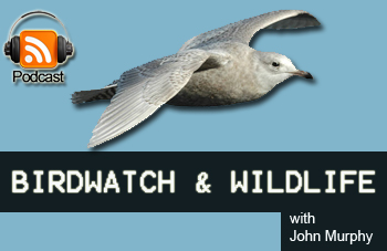 Birdwatch & Wildlife