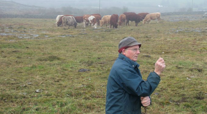 Burren’s Winterage listed as part of Ireland’s ‘intangible cultural heritage