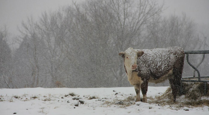 Further Wintry Conditions Expected In Clare Into The Weekend