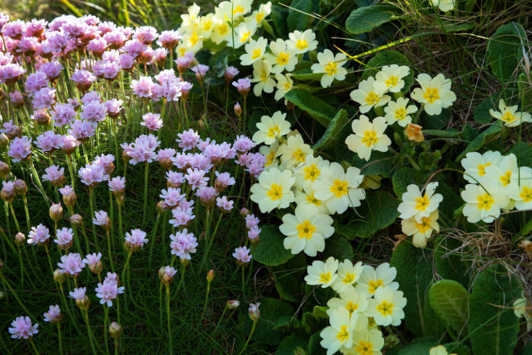 Mary O Grady – Truagh