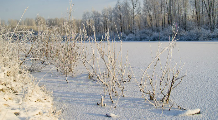 Clare Man Set To Undertake Siberian trek