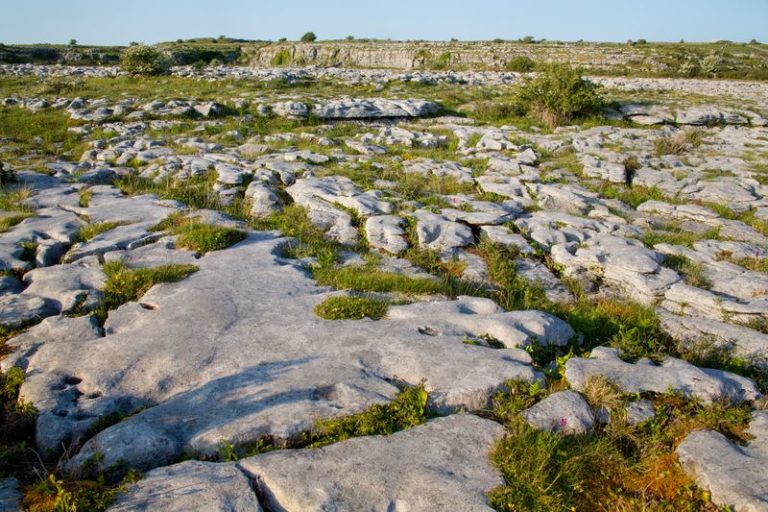 Global Spotlight On Burren EcoTourism Network Following Lonely Planet Award